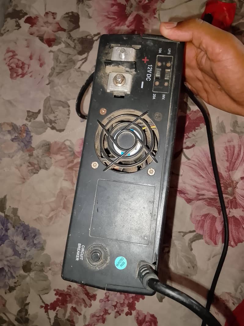 cherry --- 500W 1