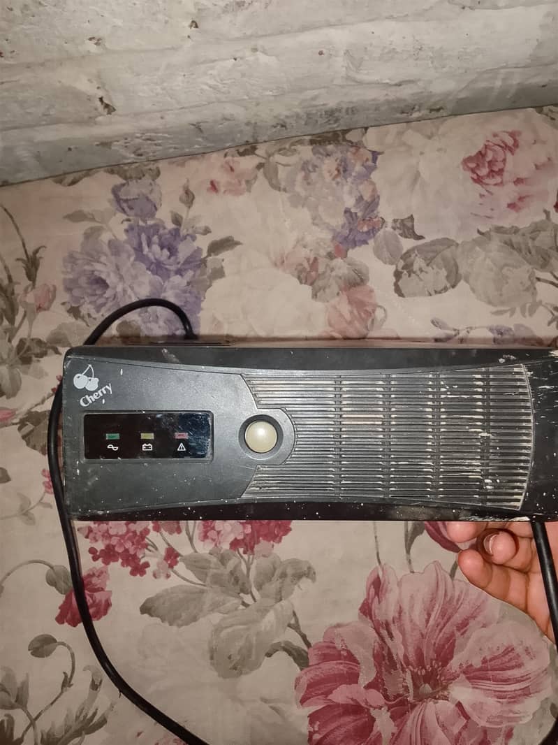 cherry --- 500W 2