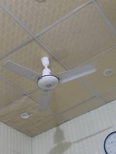 Royal Ceiling AC Fan Excellent Condition Slightly Used