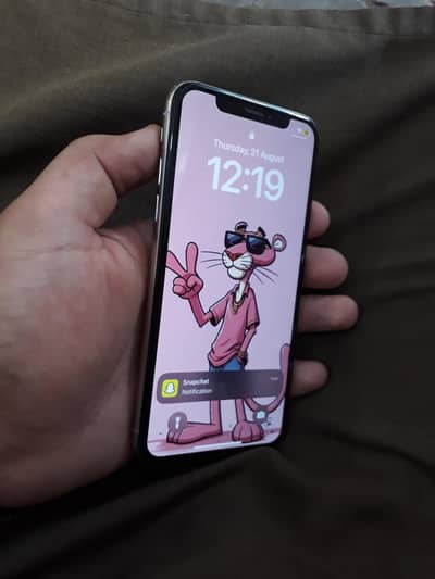 Apple iPhone X