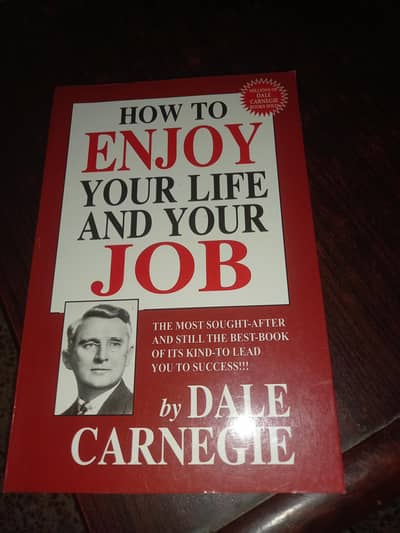 how to enjoy your life and your job