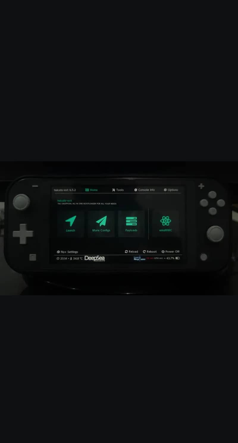 Nintendo Switch Lite MODDED 1