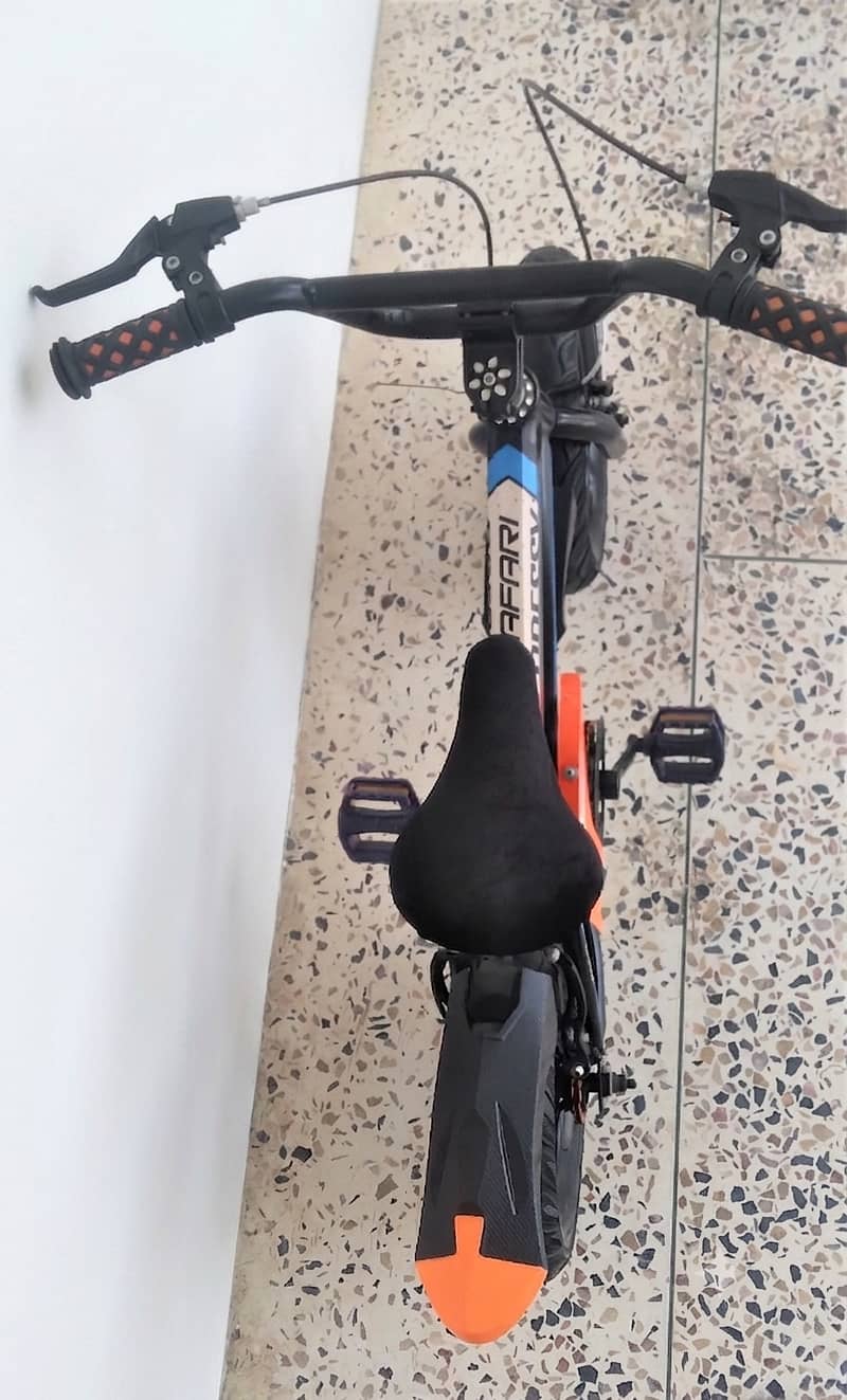 Cycle 1