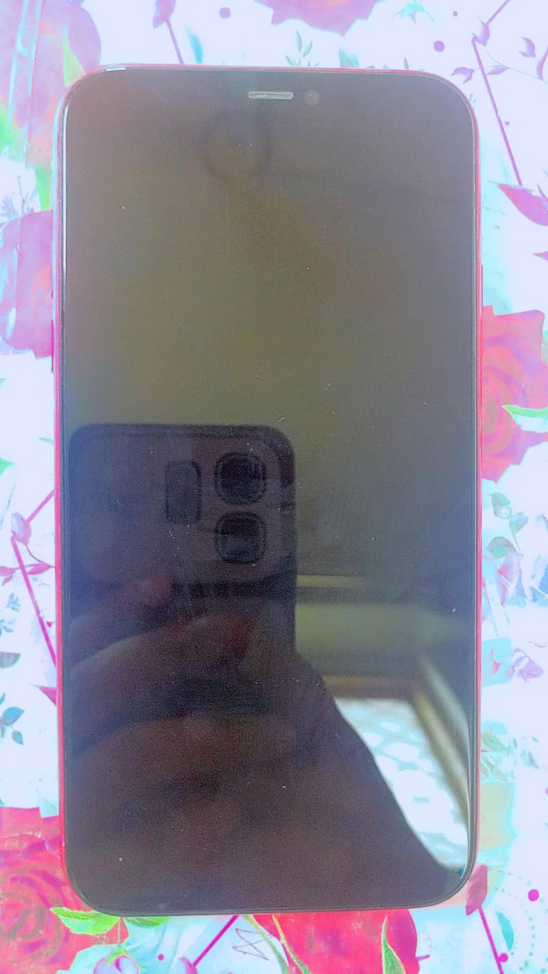 Apple iPhone 11 1