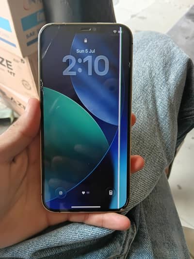 Apple iPhone 12 Pro Max
