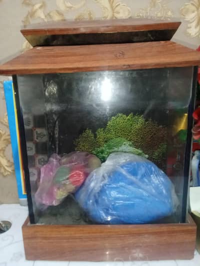fish aquarium