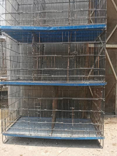 9 portion cage and astrolorp males
