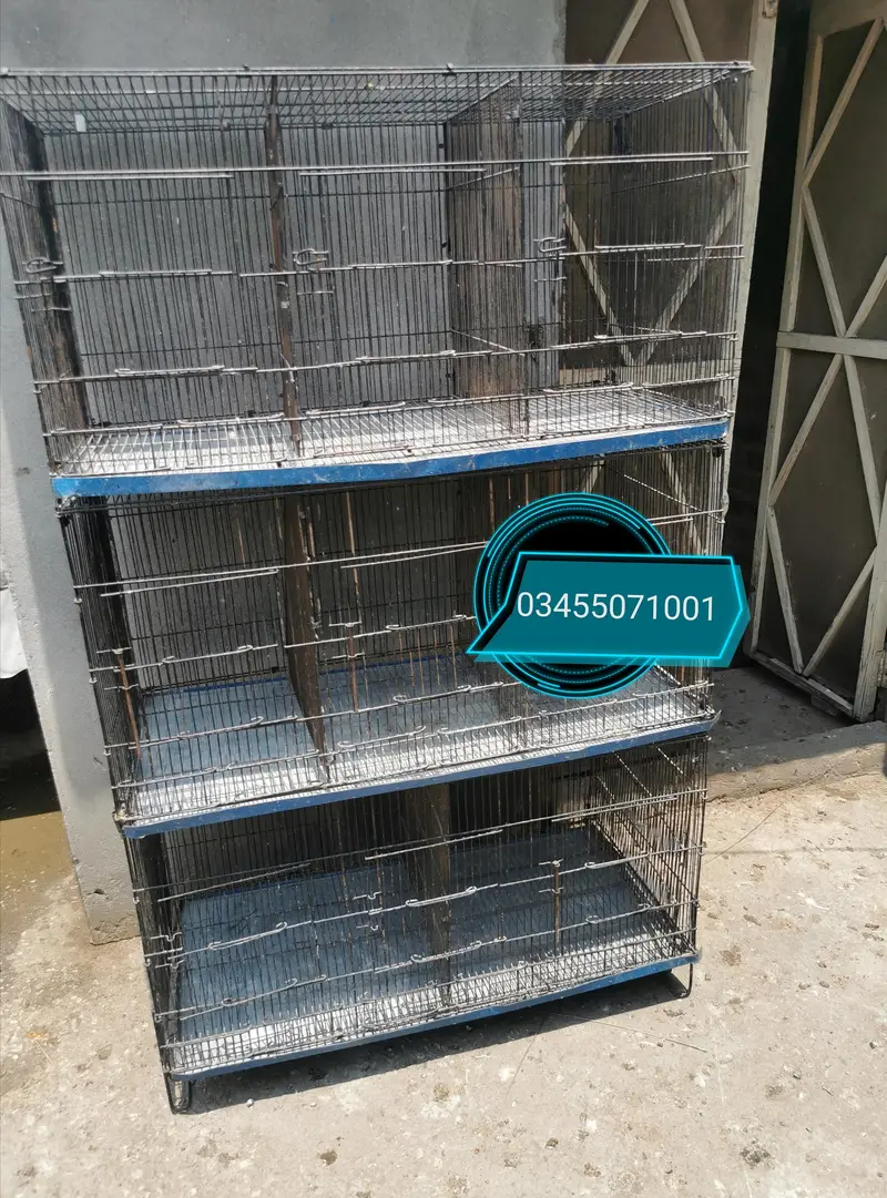 9 portion cage and astrolorp males — photo 2