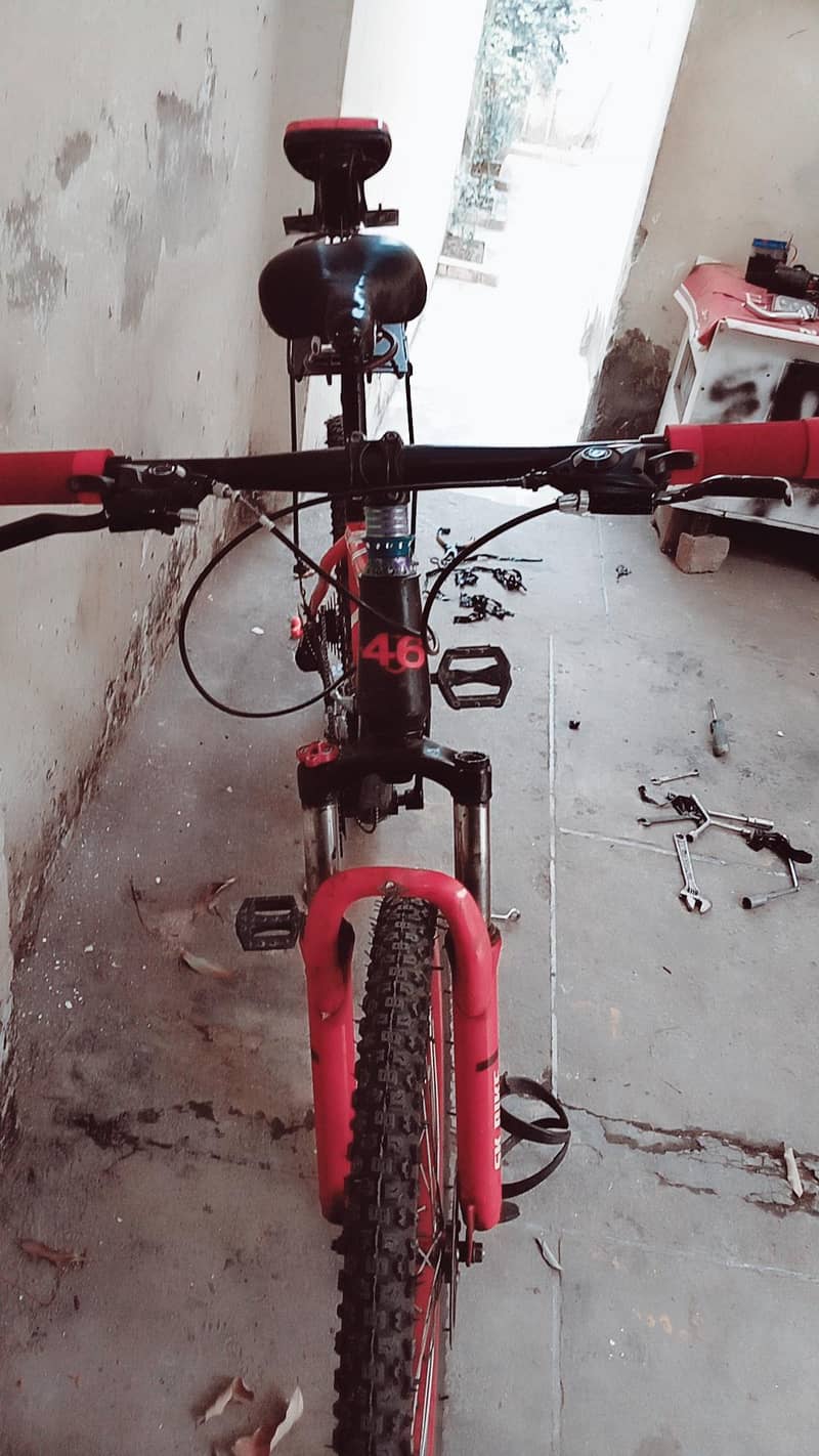 cycle lover 1