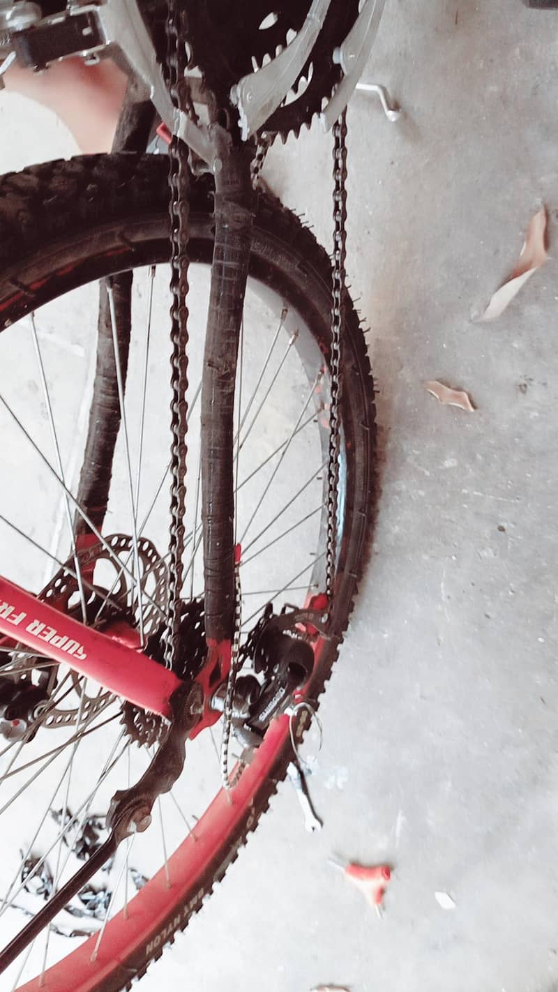 cycle lover 2