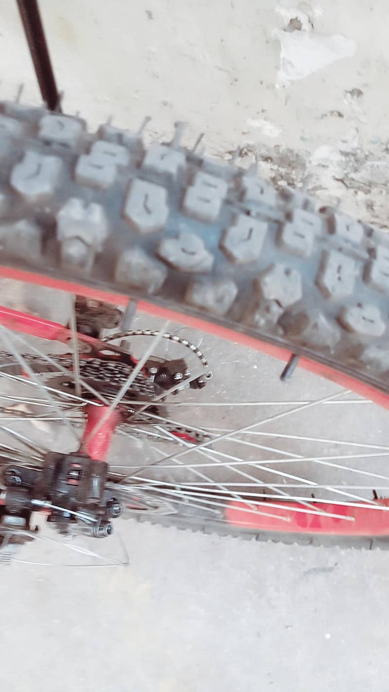 cycle lover 4