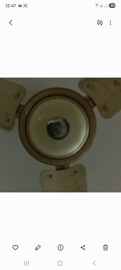 celling Fan