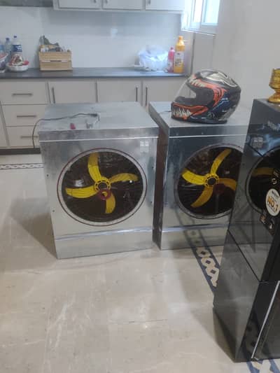 12 V  / 220 V Air Cooler