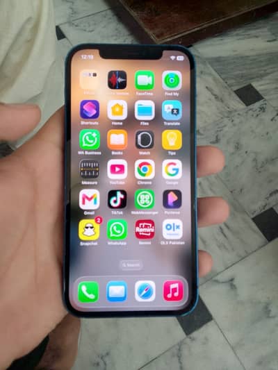 Apple iPhone 12