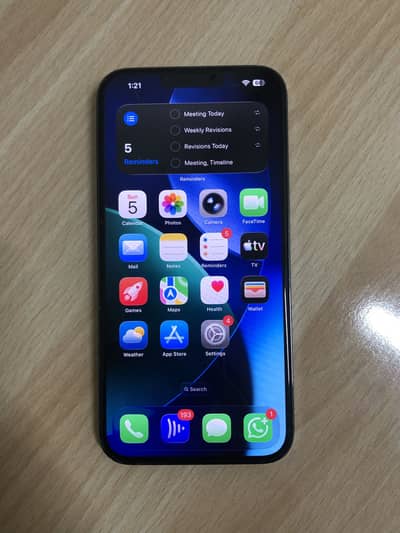 iPhone 13 Pro Max 1TB Storage