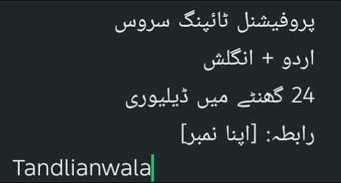 Urdu & English Typing Service - 24 Hour Delivery