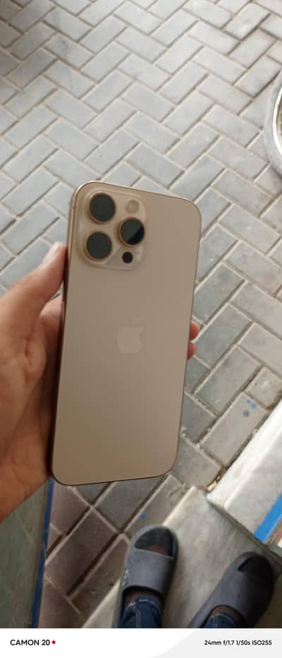 Apple iPhone 16 Pro Max