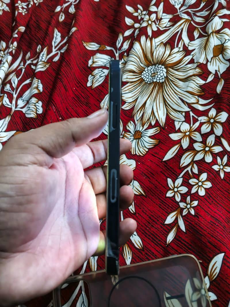 Apple iPhone 12 1