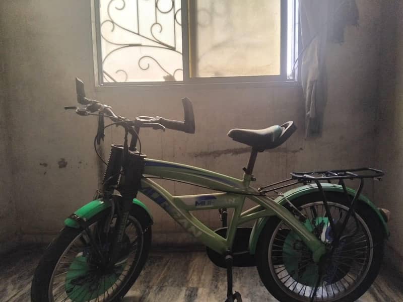 Bicycle 1