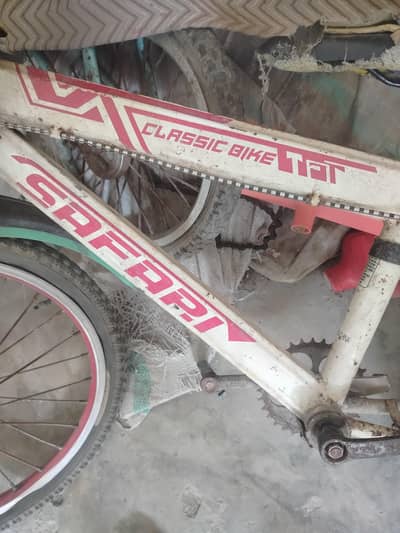 cycle for 10 year boy