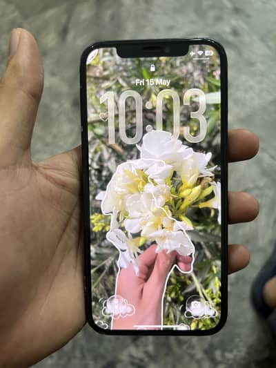 Apple iPhone 12