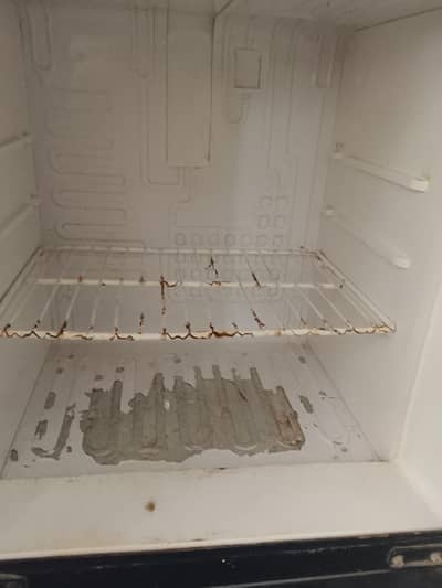fridge