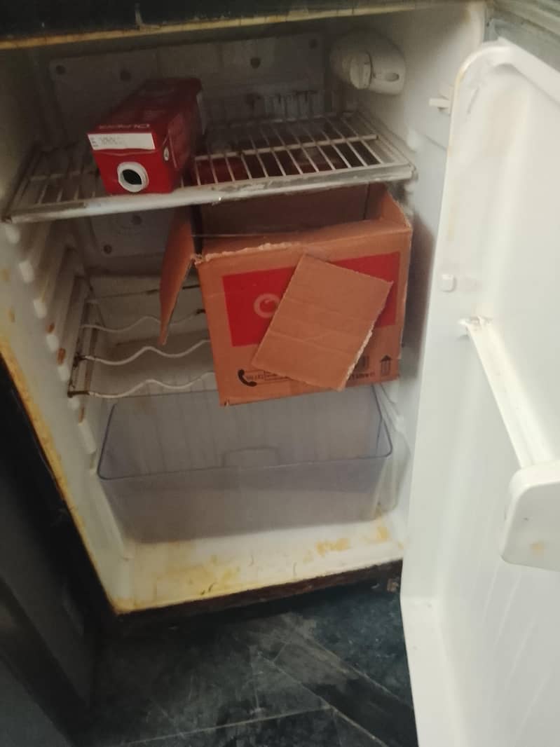 fridge 1