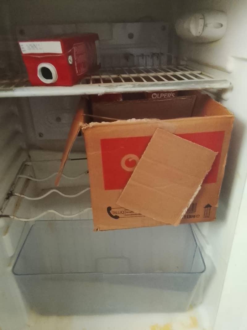 fridge 2