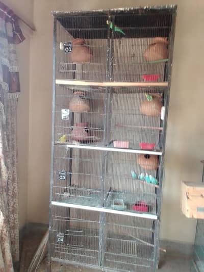 birds Cage