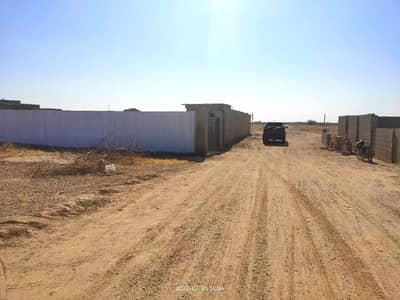 Cattle farm house