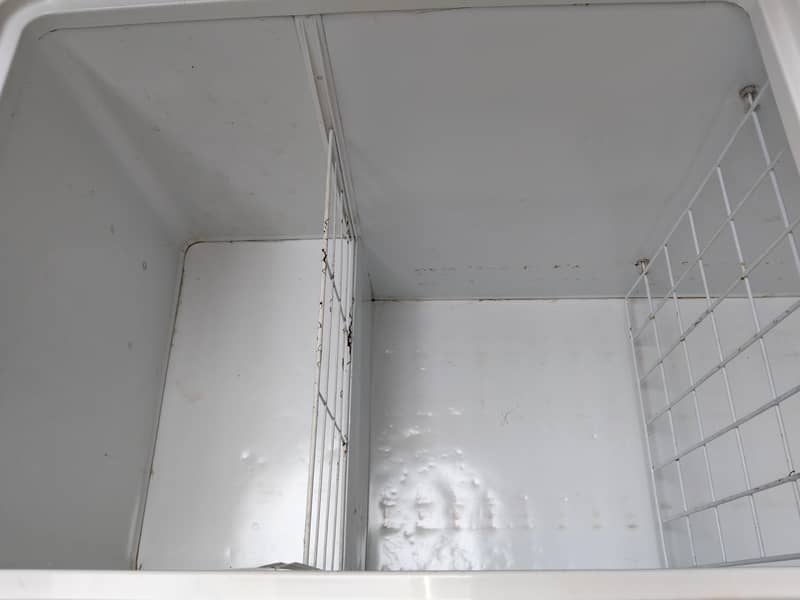 waves deep freezer 6