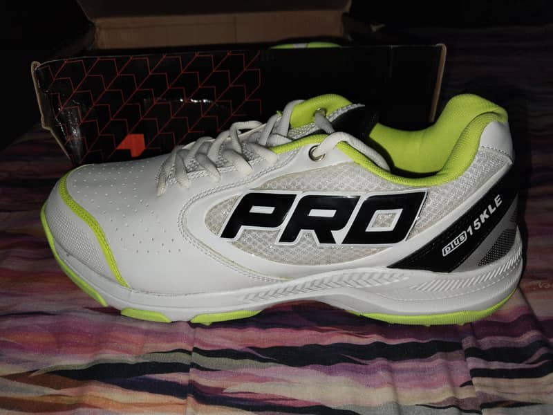 shoes 1