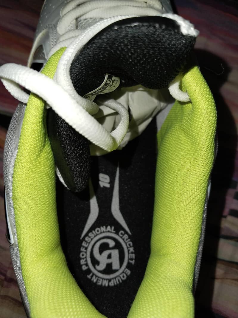 shoes 2