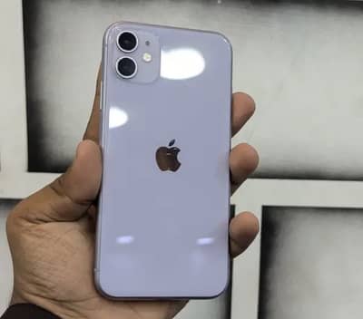 iPhone 11 approved
