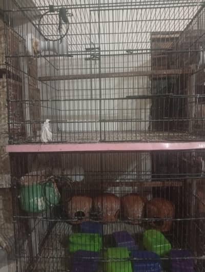 cage 4 portion