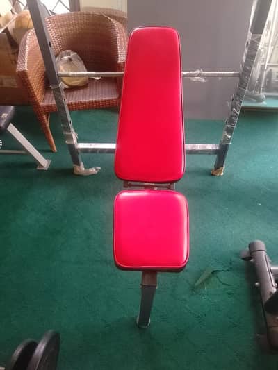 gym Equipment