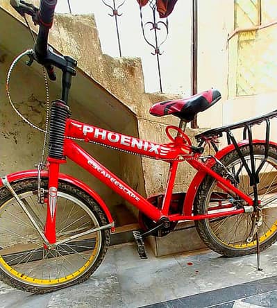 phonex brand cycle