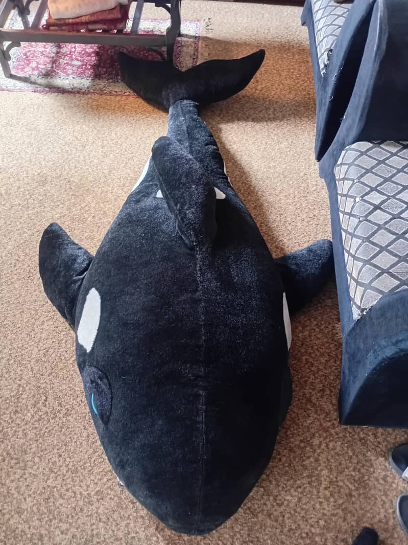dolphine 1