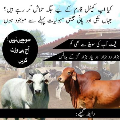 Farm house plot