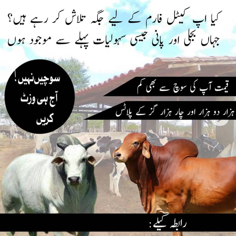 Farm house plot 0