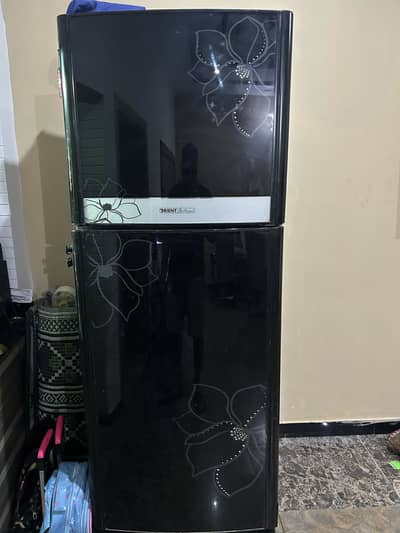 Orient Full Size Fridge