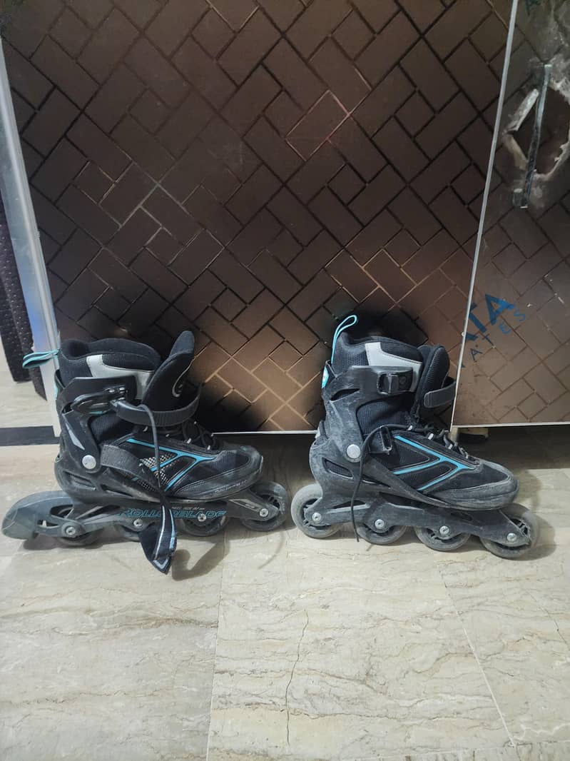 skating roller blades 2