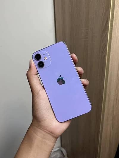 Apple Iphone 12 In purple Color