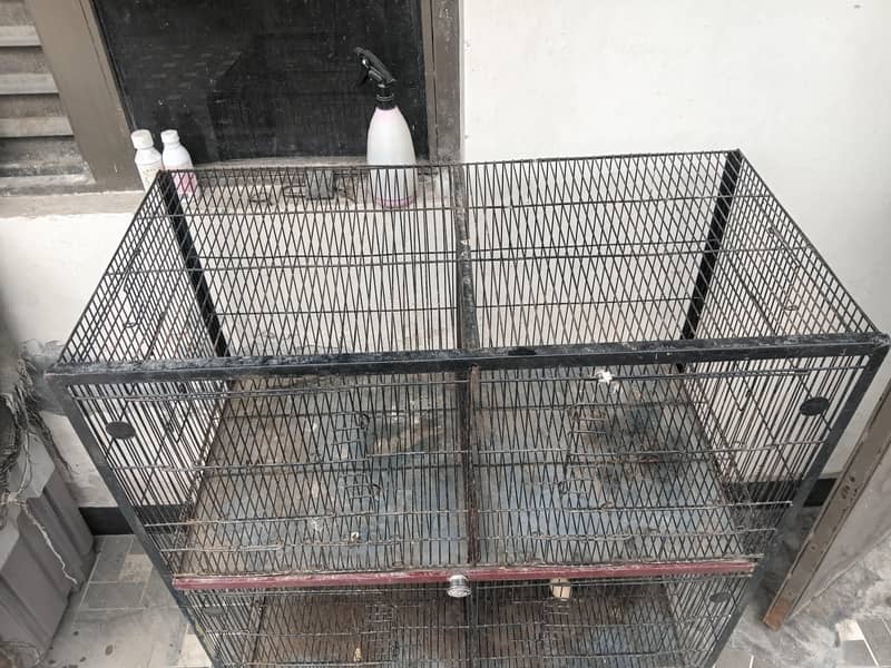 cages 1