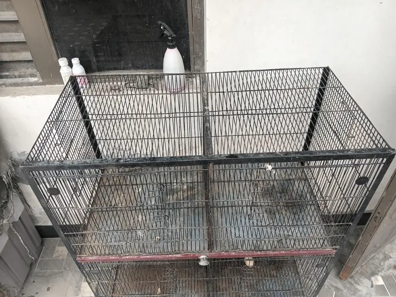 cages — photo 2
