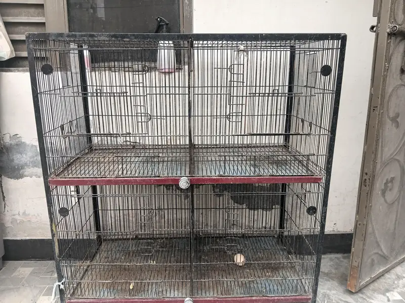 cages — photo 3