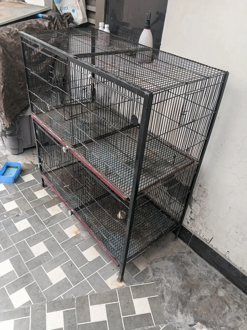 cages — photo 4