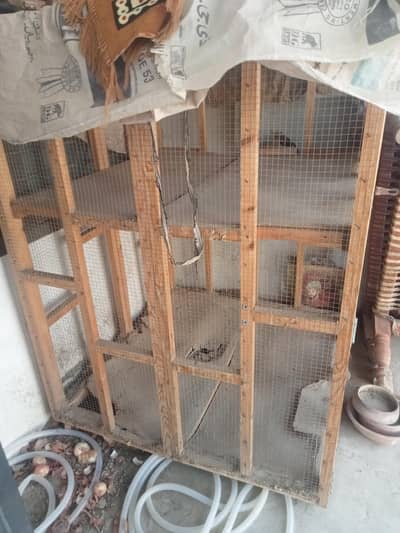 big cage
