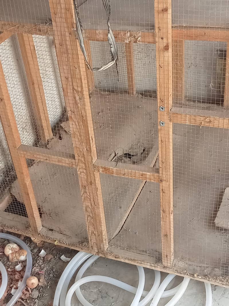 big cage 1