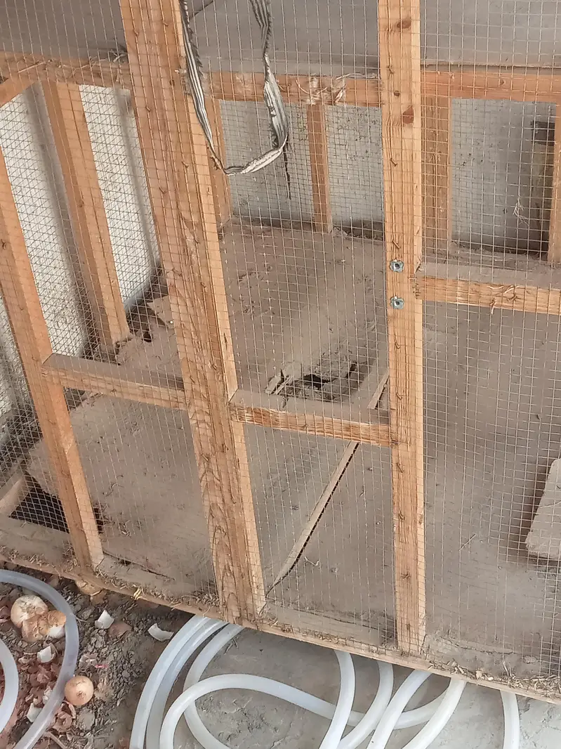big cage — photo 2